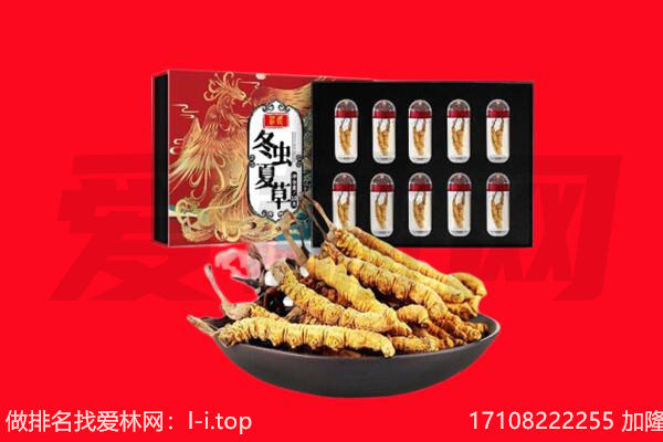 二七区回收虫草.jpg